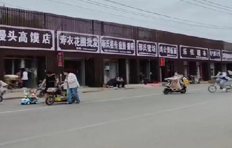 蒲城政府规划的统一招牌样式有哪些？